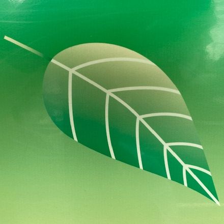 木の葉薬局のロゴ画像